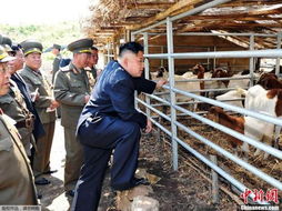 金正恩同志视察现代化养猪厂，指示以优质肉制品礼赠前线军人